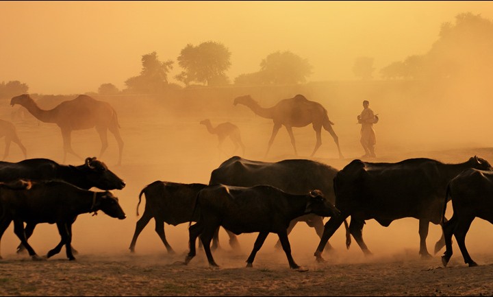 A VILLAGE LIFE