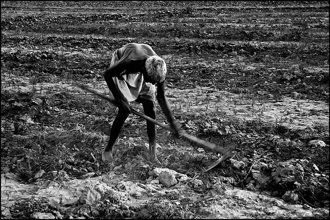 HARD LIFE OF FARMERS