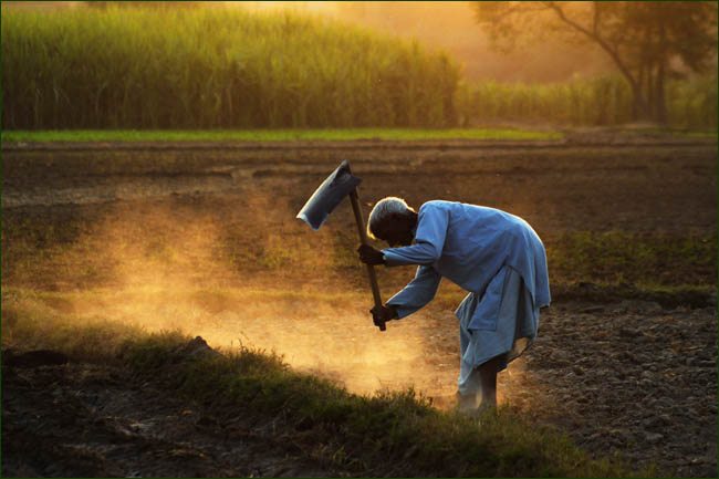 FARMER AT WORK