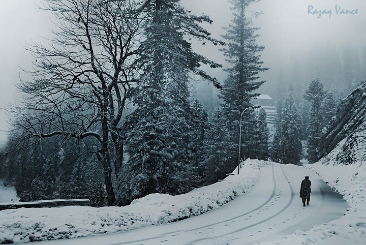 A WALK IN THE SNOW