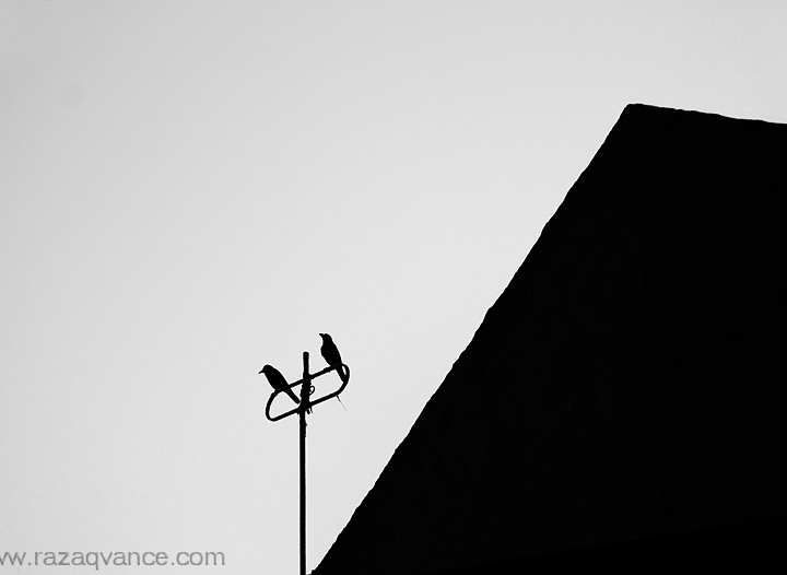 A NEW COMPOSITION IN PHOTOGRAPHY
