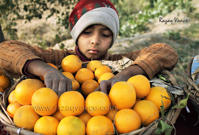 A WORKER BOY