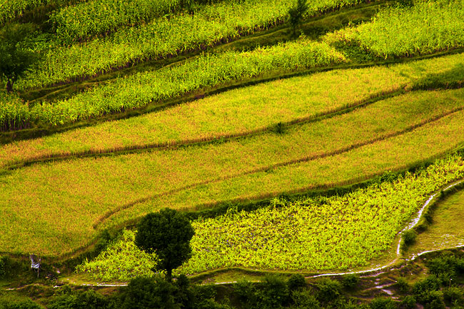 STUNNING BEAUTY OF NEELUM VALLEY KASHMIR