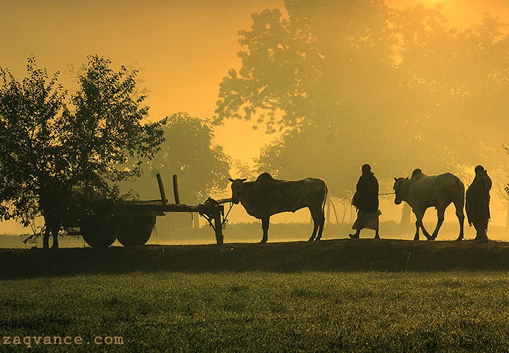 THE FARMERS ON THE WAY