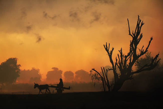 Early Morning Light And Life In Rural Asia