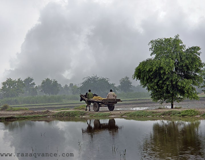 LIFE IN THE MONSOON