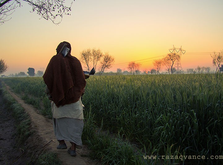 LIFE AND LIGHT IN A WINTER MORNING