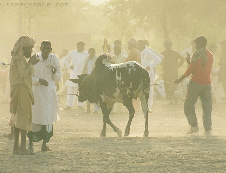 Glimpses Of Village Life In Asia