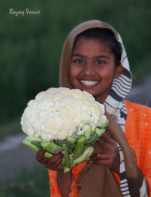 Young Female Farmer Of Developing World