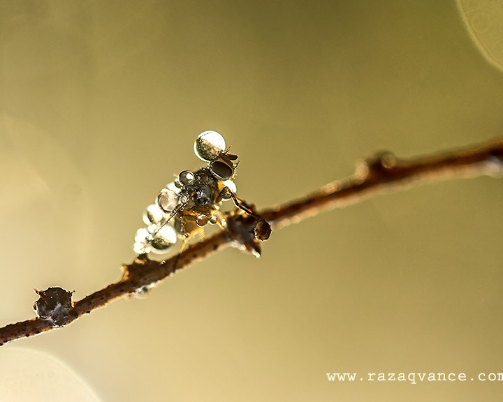 Mindblowing Beauty of Nature