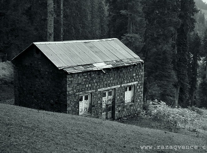 A Hut In The Woods