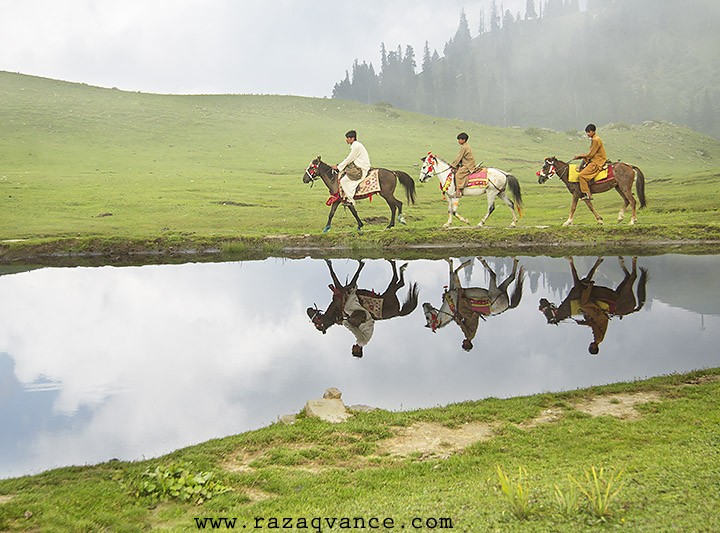 Wonderful World Of Paya Meadows In Naran Valley Pakistan