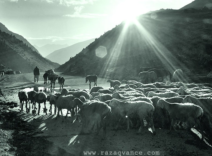 A Day In The Life Of Shepherds Of Naran Valley Pkistan