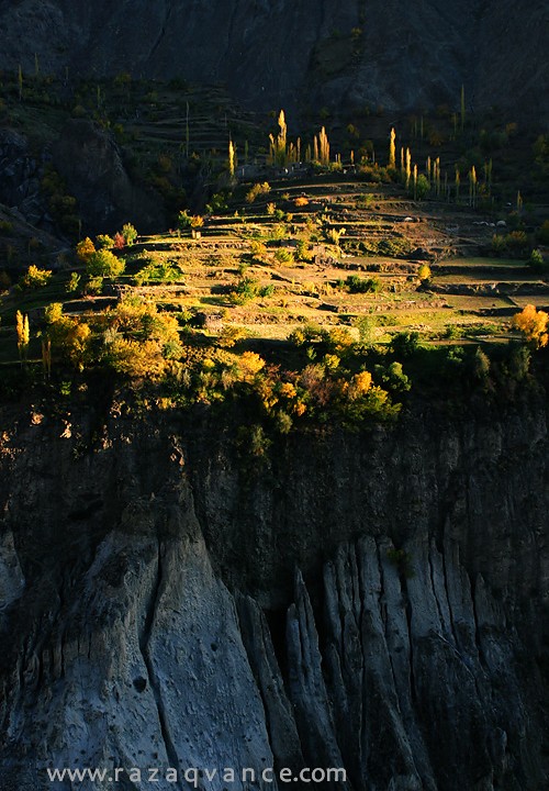 Colors Of The Fall In The First Light OF The Morning