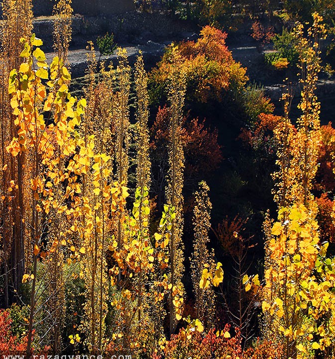 Autumn Colors In Landscape Photography Paradise Hunza