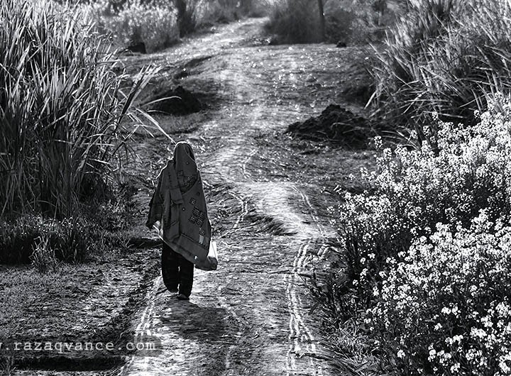 Best Use Of Natural Light In Black And White Photography