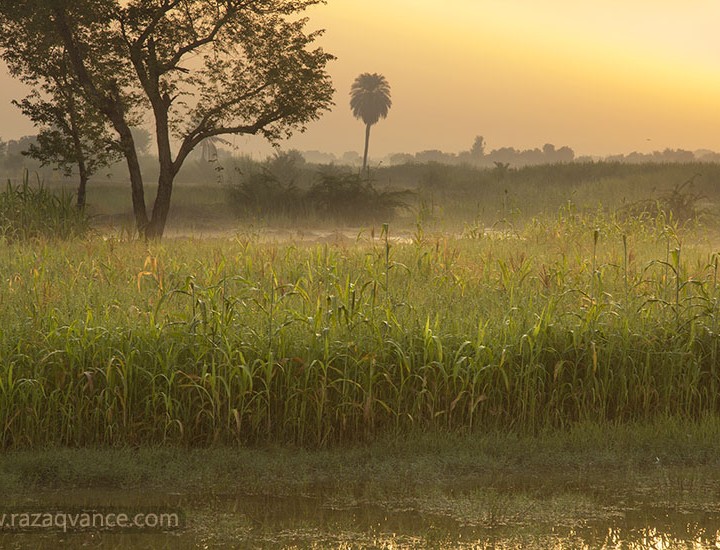 Morning Light And Village Landscape photography