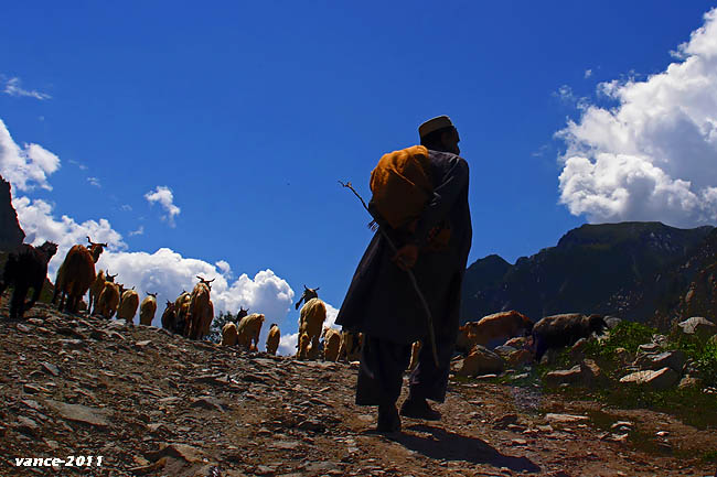 Life Of Shepherds In Swat Valley Pakistan