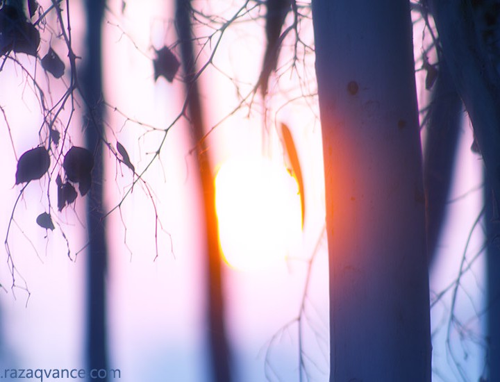 Good Morning Pictures In Landscape Photography