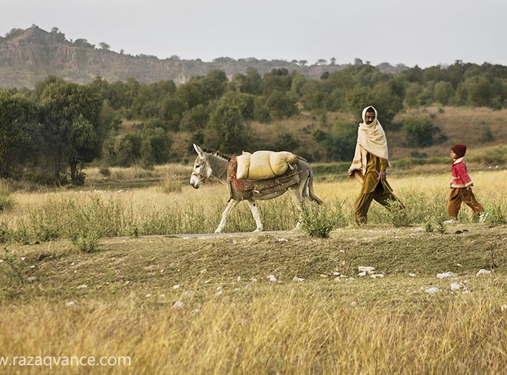 A Page From Documentary Photography In Soon Valley Pakistan