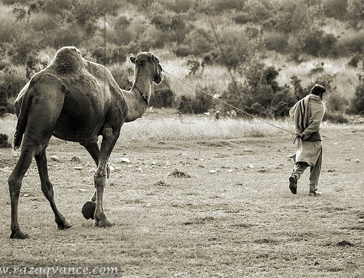 A Documentary Picture From The Life In Soon Valley Pakistan
