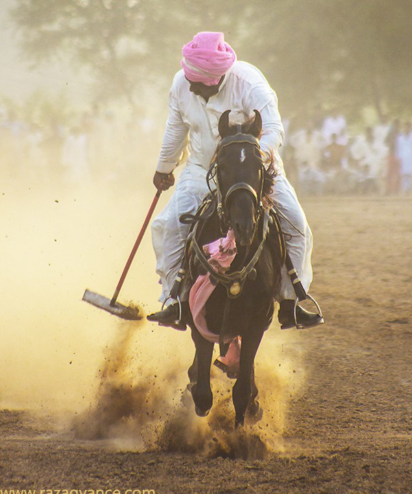 Incredible action Of Horses And Horsemen From Asia