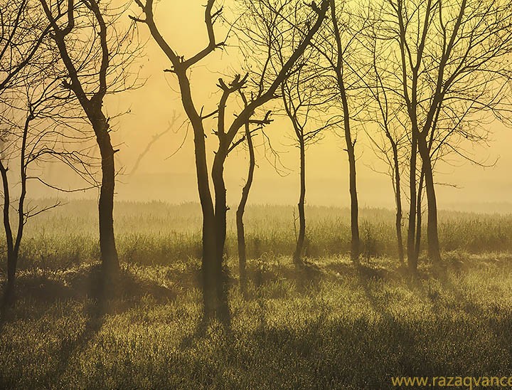 Use Of Winter Light Beauty In Landscape Photography