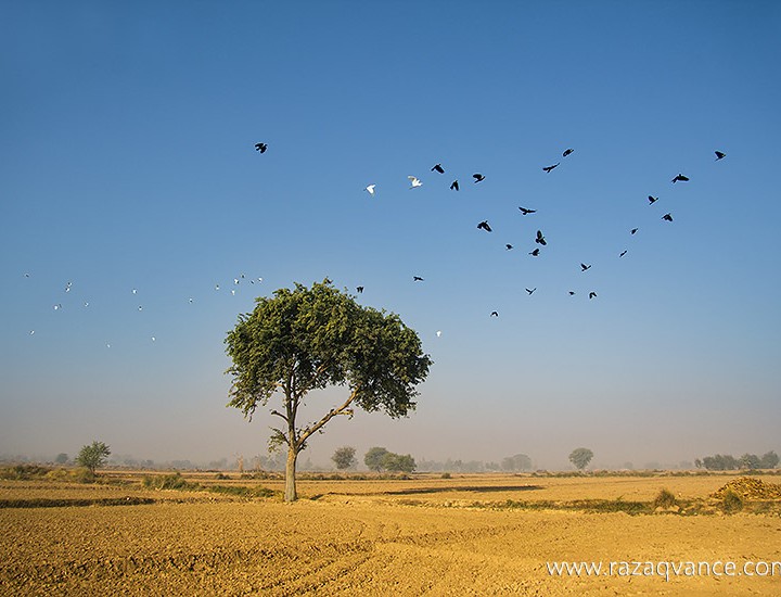 Stunning Natural Beauty Of Village Landscape