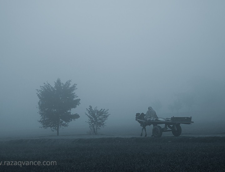 Busy Life Of Farmers In A Foggy Morning