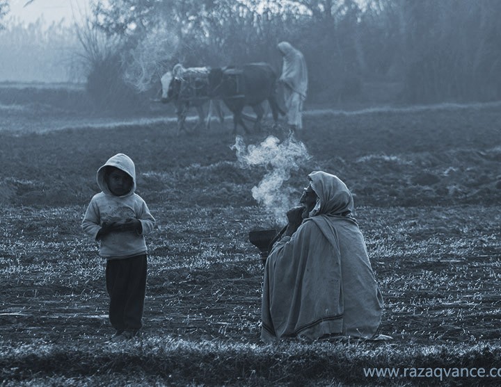 A Farmer Family Busy In The Fields