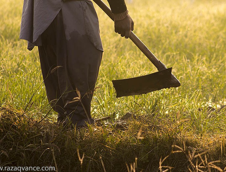 Life Of A Farmer And Beauty Of Light