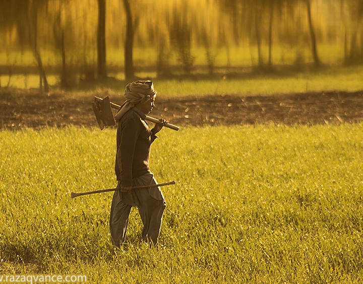 Documentary Photography And Life Of A Farmer
