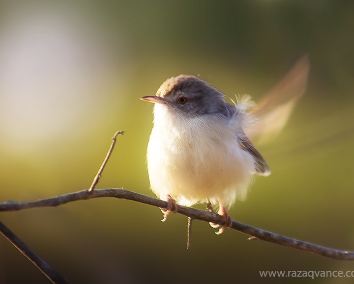 Nature photography And Beauty Of Light