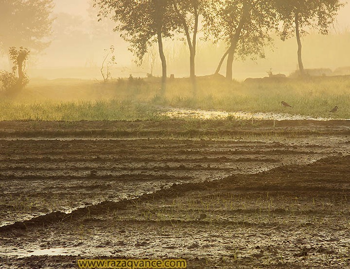 Landscape photography And Fields In The Mist