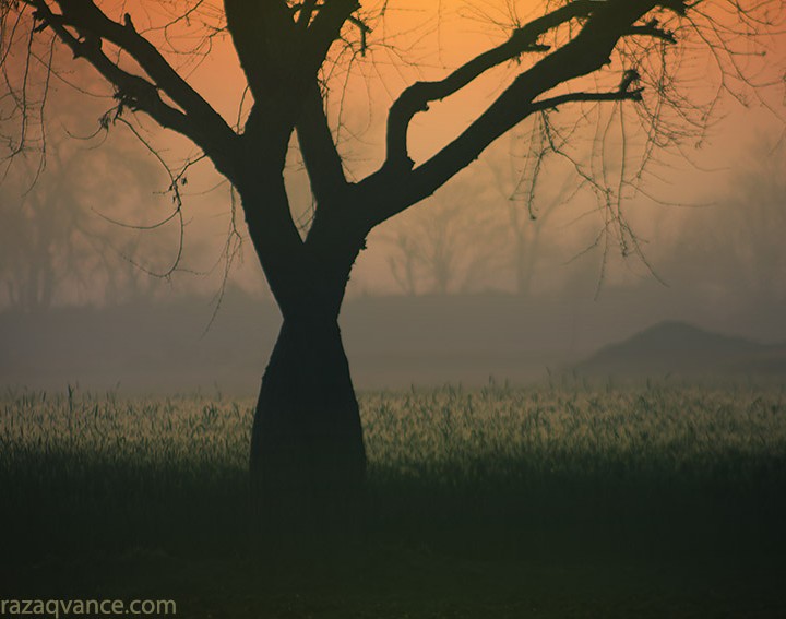 Landscape Photography And Colors Of Dawn In Spring