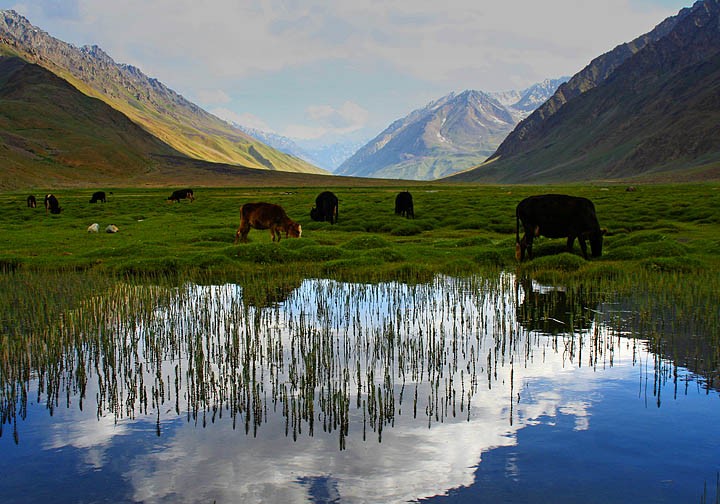 Ghizer Valley Have The Best Landscape Beauty In The World