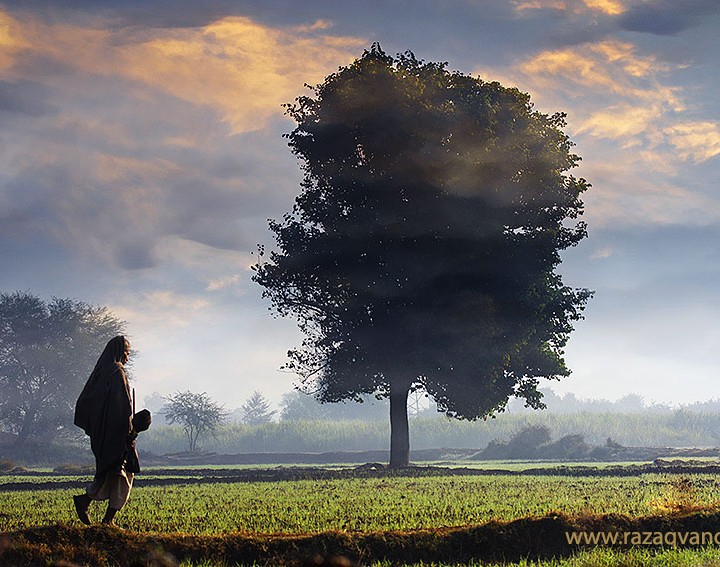 Landscape Photography And Magic Of Morning Light In The Fields