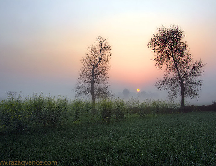 Divine Light Pictures And Mystic Beauty Of Sunrise