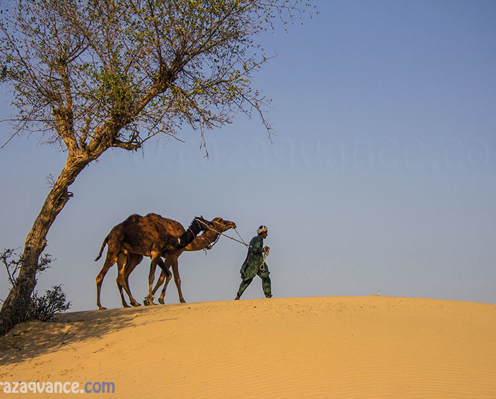 A Journey Through The Thal Desert In Pakistan