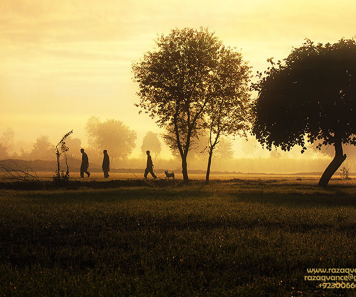 Busy Village Life In A Warm Glowing Winter Morning