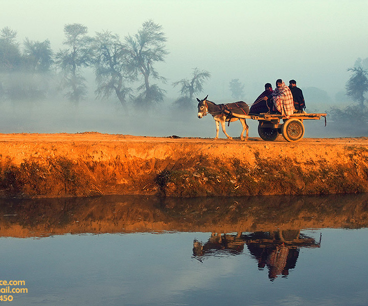 Beauty Of Life And Light In A Village Landscape