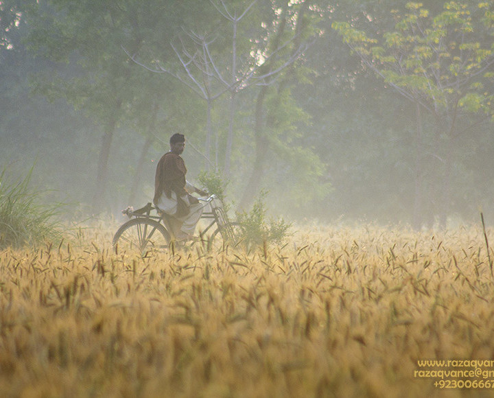 THE FARMER ON BICYCLE AND A BEAUTIFUL APRIL MORNING