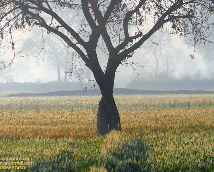 A CASE OF LOVE IN LANDSCAPE PHOTOGRAPHY