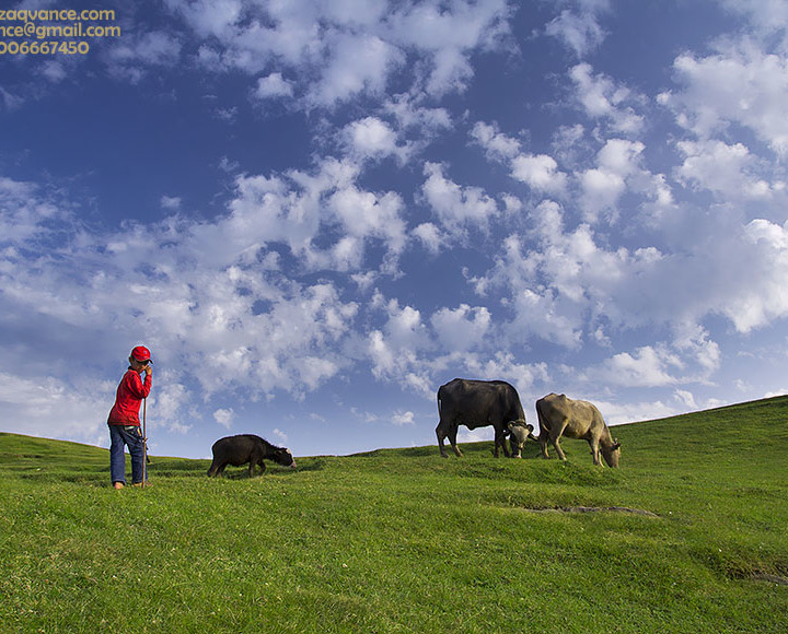 A YOUNG RANCHER FROM TOLI PIR AZAD KASHMIR PAKISTAN