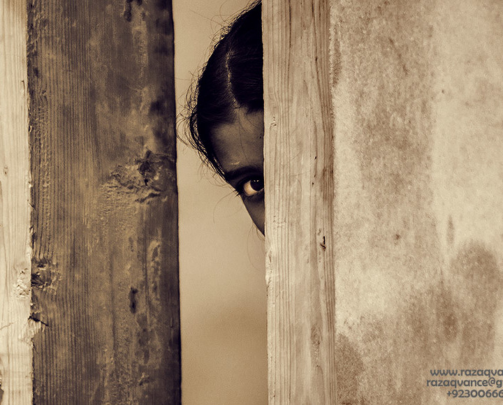 CURIOUS EYE THROUGH THE WALLS OF THE WOOD