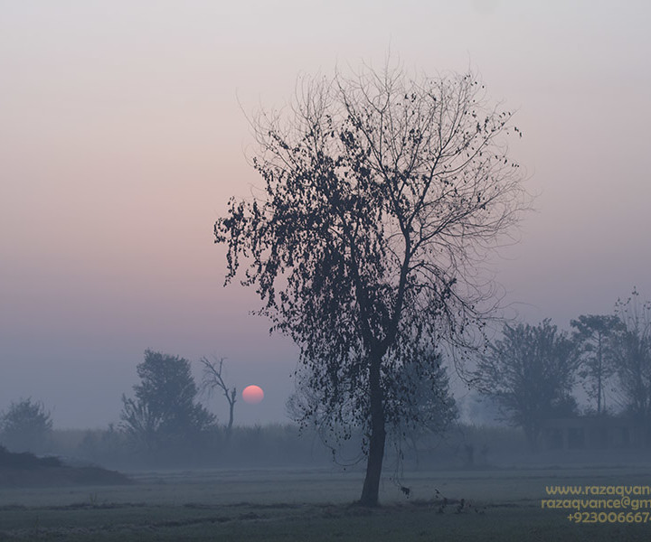 MYSTIC EXPERIENCE OF WATCHING SUNRISE IN A MSITY MORNING
