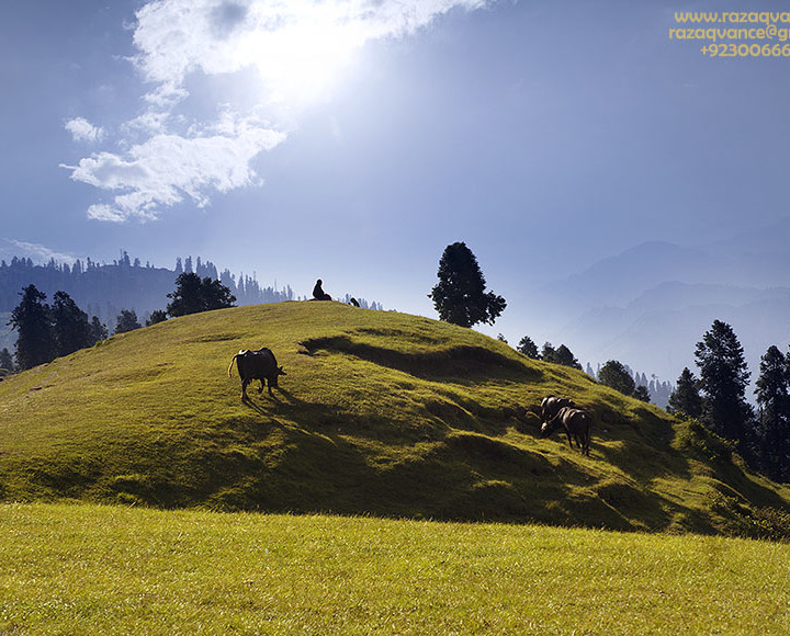 LIGHT AND SHADE STUDY IN LANDSCAPE PHOTOGRAPHY AT TOLIPEER KASHMIR