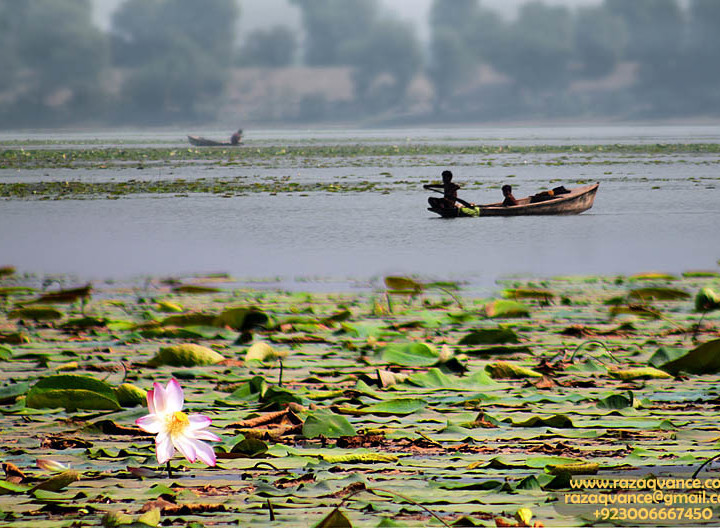 LANDSCAPE BEAUTY OF WETLAND AND YOUNG FISHERMAN