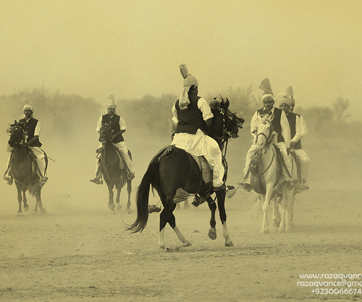 HORSES AND HORSEMEN OF PUNJAB PAKISTAN