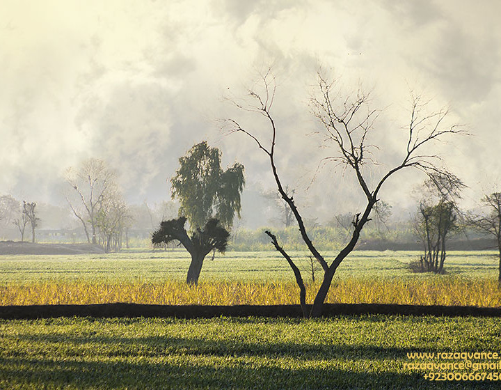 HEART TOUCHING BEAUTY OF RURAL LANDSCAPE
